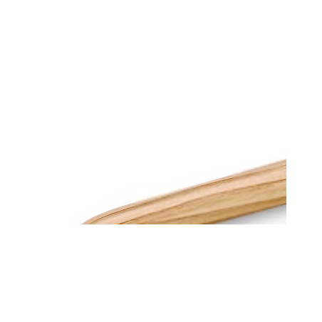 BIC 4 Colours Wood Effect - 1 Penna a sfera a scatto a 4 colori