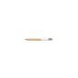 BIC 4 Colours Wood Effect - Penna a sfera a scatto a 4 colori - conf. da 12